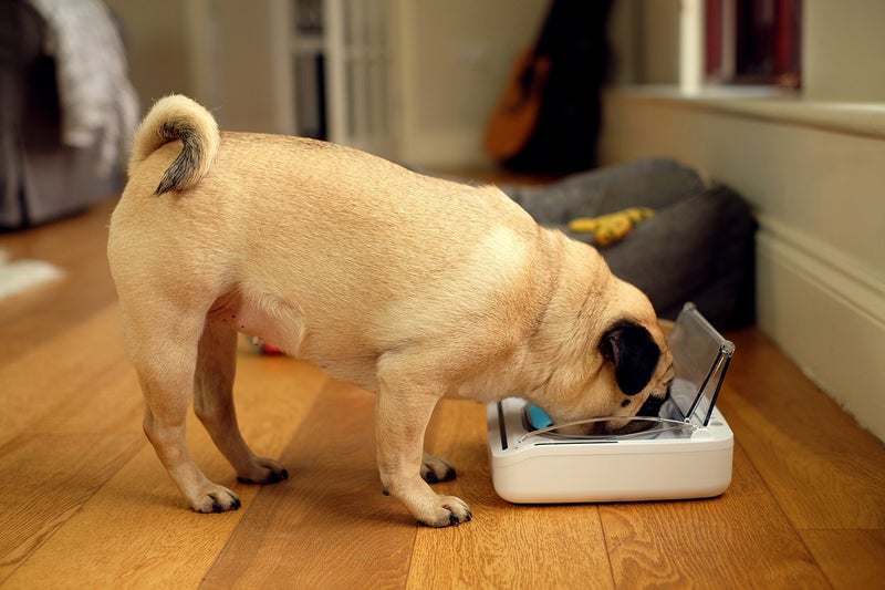 SureFlap Sure Petcare - SureFeed - Motion Activated Sealed Pet Bowl - NOT Microchip Activated - Image 4
